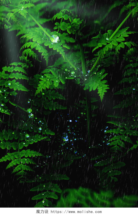 谷雨晶萤露水传统节日二十四节气绿色背景海报